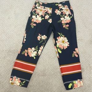 Zara Basic Collection